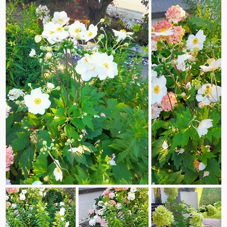 Le Grenier De Mamou Hesdigneul-les-Boulogne